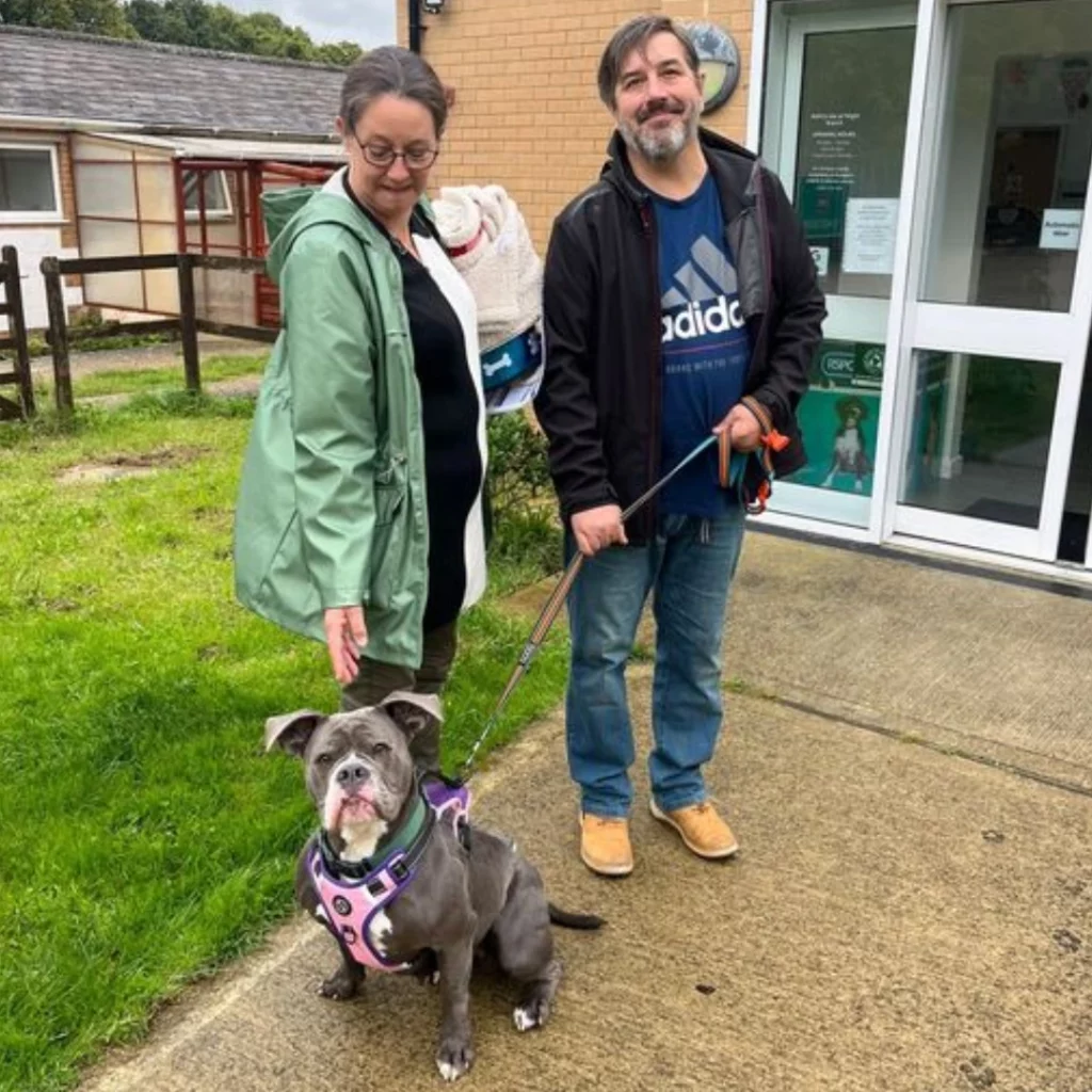 Bluebell Adoption Success