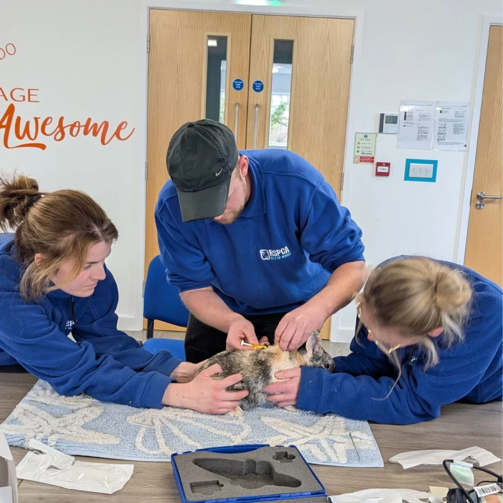 Microchip Course Completed
