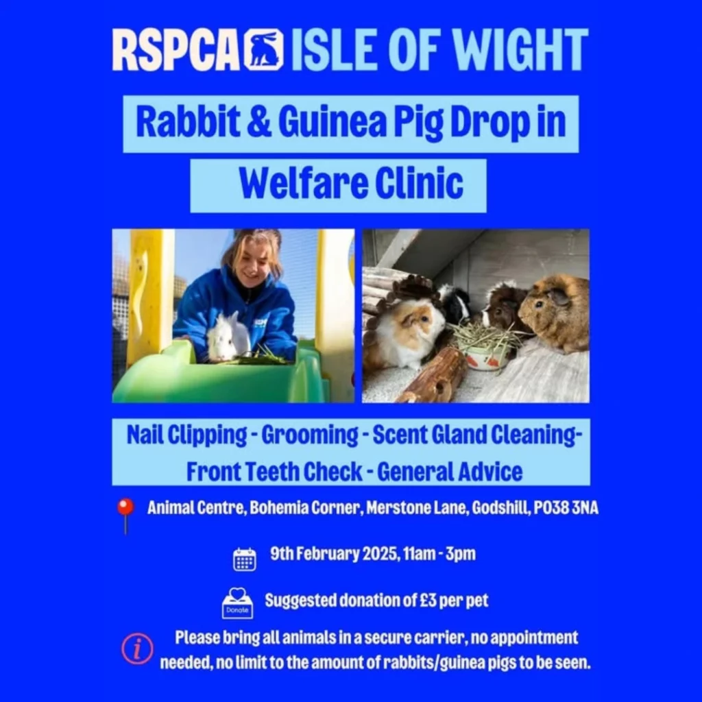Rabbit and Guinea Pig Welfare Clinic