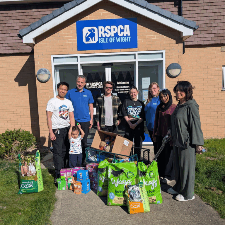 Corporate Sponsor Correo Lounge Fundraise for Animal Centre