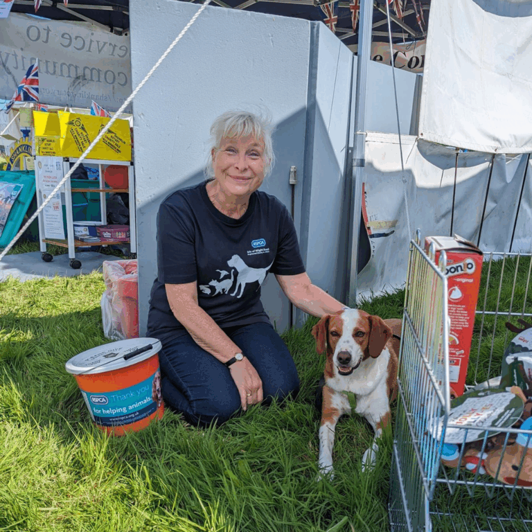 Volunteers Week