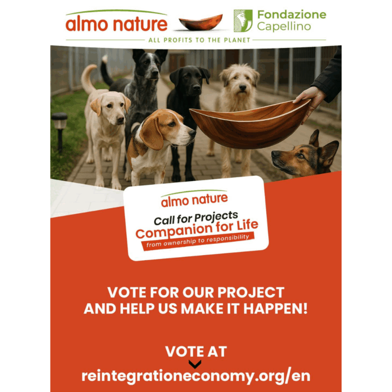 We need your vote!