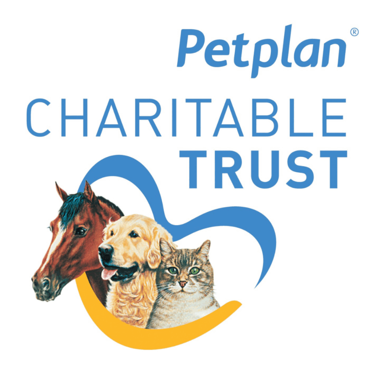 Thankyou Petplan