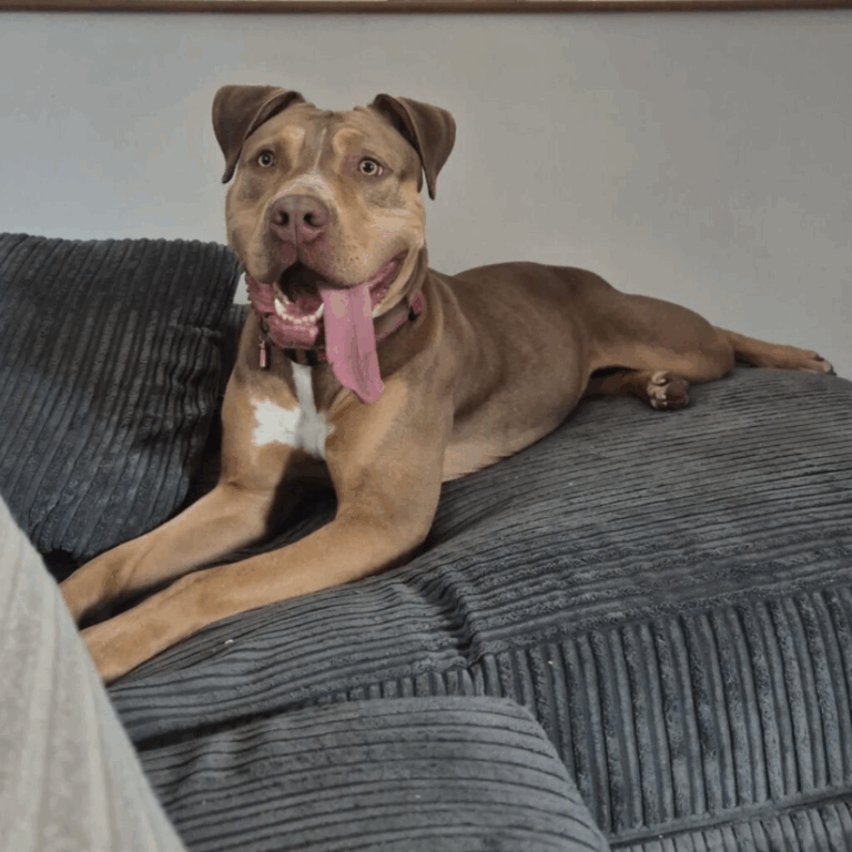 Storm’s Big Break
