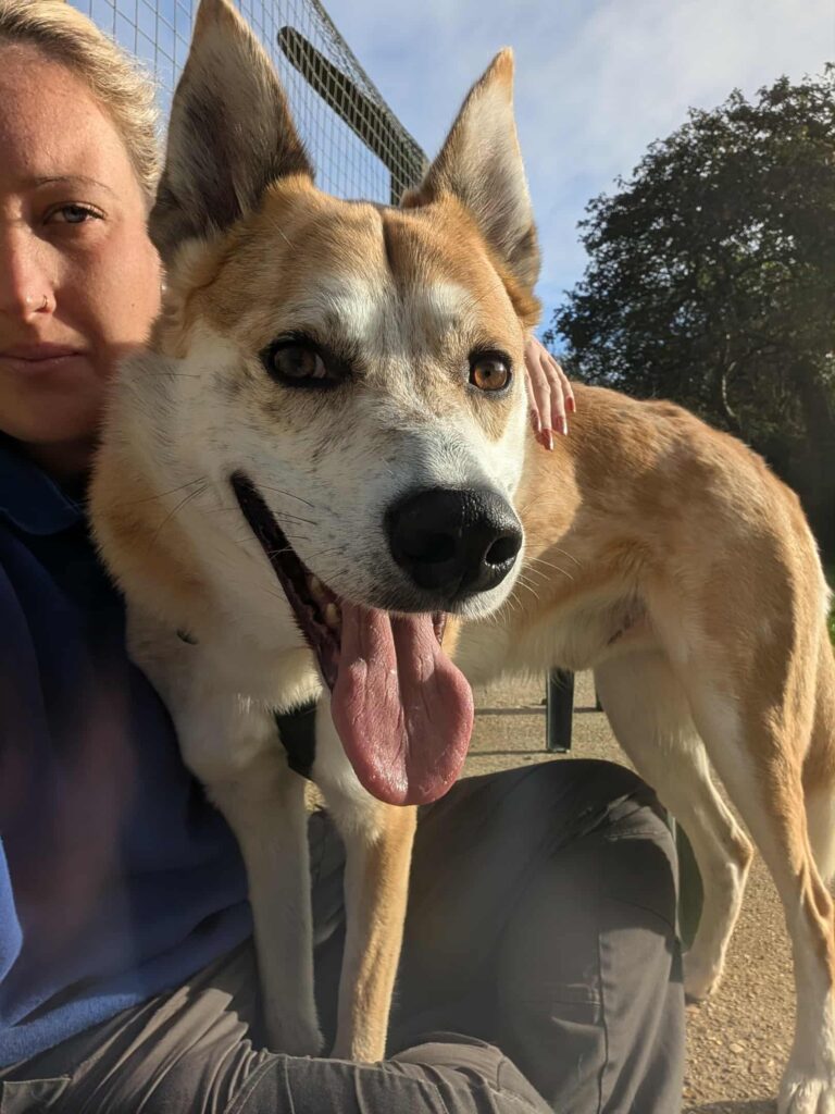 Messenger_creation_258B8473-9814-42BF-8AC8-ABF8CD64F377 (1)