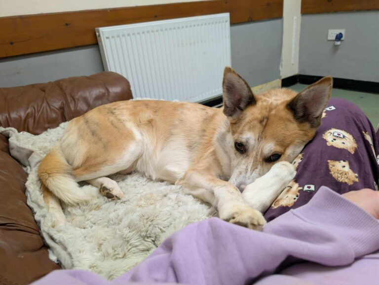 Messenger_creation_5526AE93-9044-45DC-83D2-0EDCD00A1891 (1)