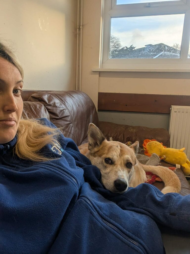 Messenger_creation_BC0CA6DE-41F1-45B4-BC24-B1070DA916C2 (1)