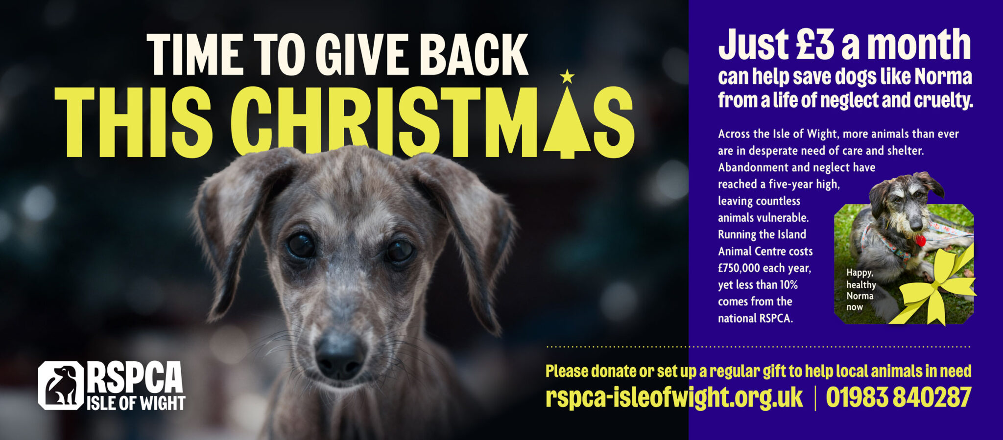 RSPCA CHRISTMAS CAMPAIGN 820-X-360-FACEBOOK-GRAPHIC (1)