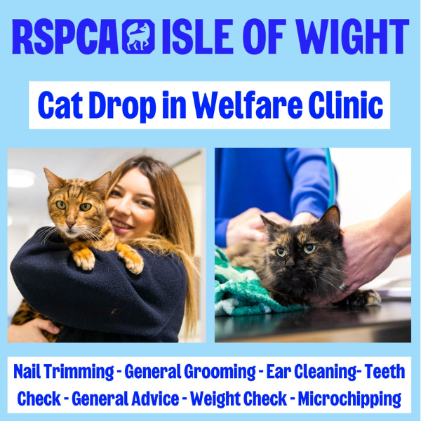 Drop in Cat Welfare Clinic