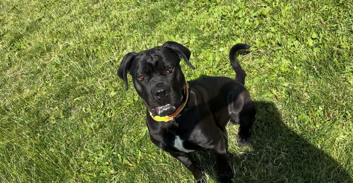 Photo of Princess Margerhita