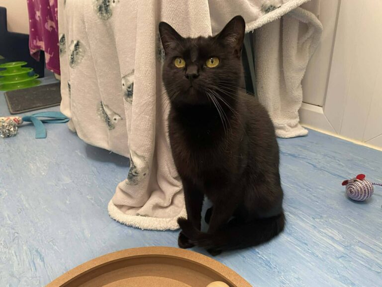 676594470_1386362493526472_680335946067884425_n